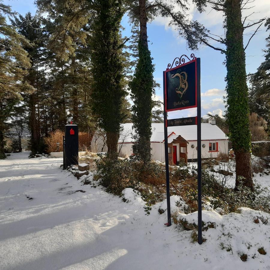 Back2Roots - Beautifully Restored Cottage, Doochary Kültér fotó
